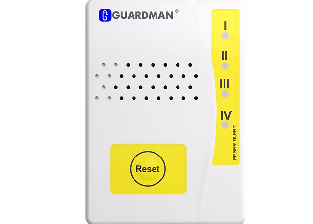 Vibration Pager (GWR-L25)